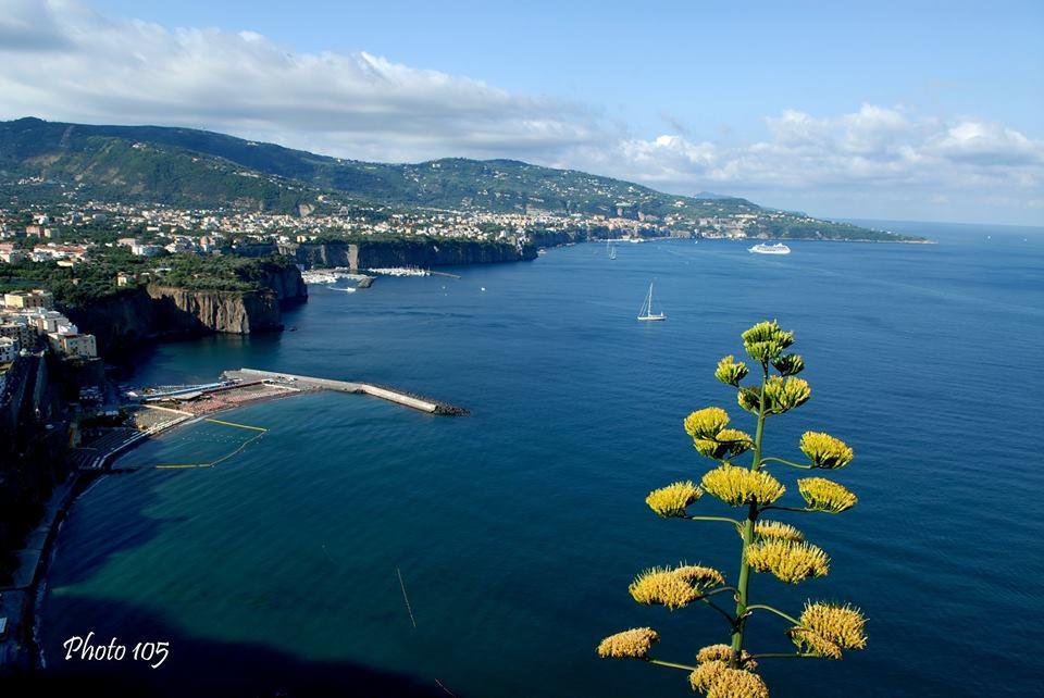 Sorrento Coast Relais Hotel Мета Екстериор снимка