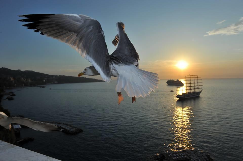 Sorrento Coast Relais Hotel Мета Екстериор снимка